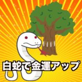 熱田神宮の大楠の白蛇で金運アップ