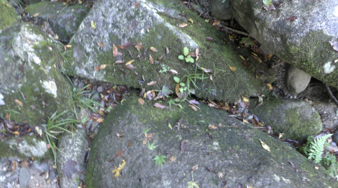 苔石